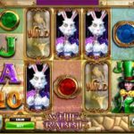 White Rabbit