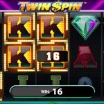 Twin Spin Slot
